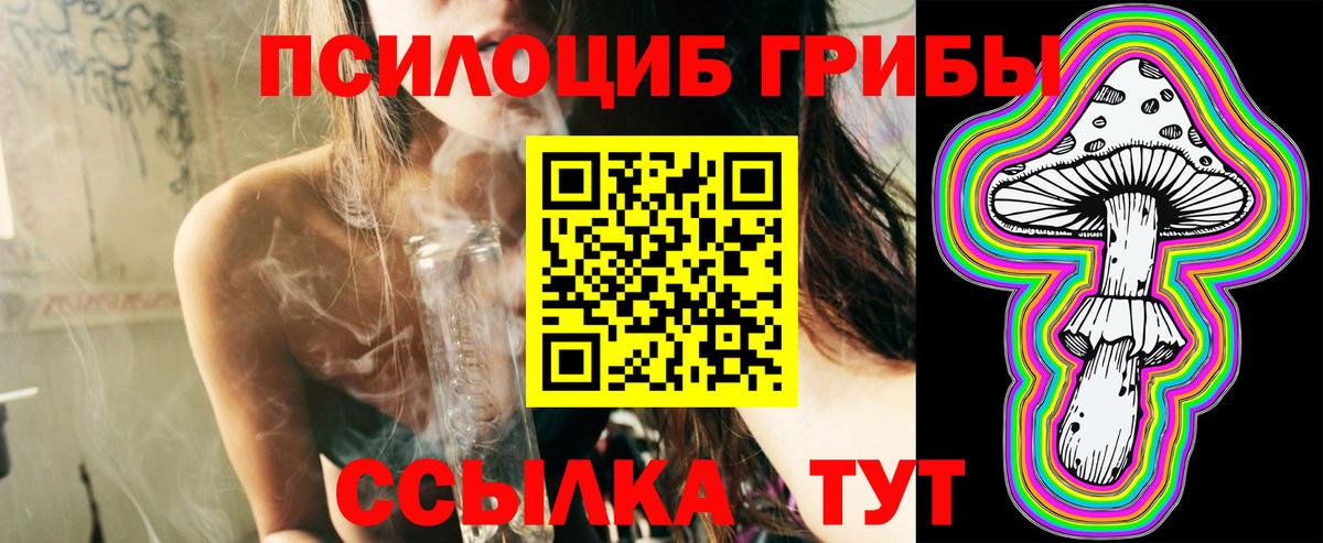купить наркотики цена  Галлюциногенные грибы GOLDEN TEACHER  Псилоцибиновые грибы прущие грибы  Вход с VPN  Екатеринбург 